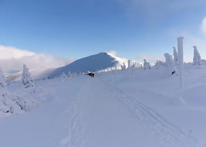 Lawendowy Z Garazem, Tarasem I Widokiem Na Sniezke Triventi