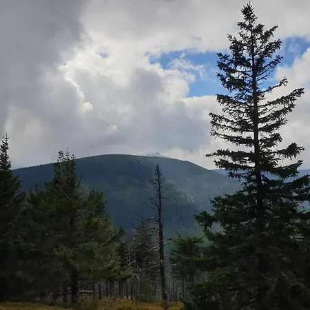 Apartamento Lawendowy Z Garazem, Tarasem I Widokiem Na Sniezke Triventi Karpacz