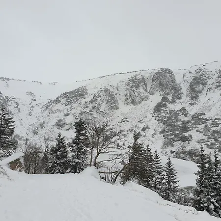 Lawendowy Z Garazem, Tarasem I Widokiem Na Sniezke Triventi Apartamento Karpacz