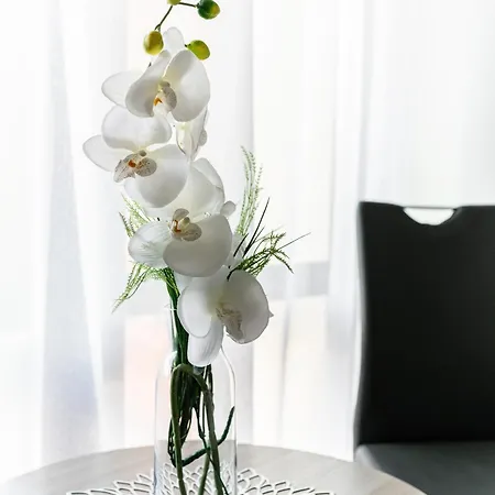 Apartamento Lawendowy Z Garazem, Tarasem I Widokiem Na Sniezke Triventi *