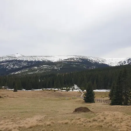 Lawendowy Z Garazem, Tarasem I Widokiem Na Sniezke Triventi Apartamento Karpacz