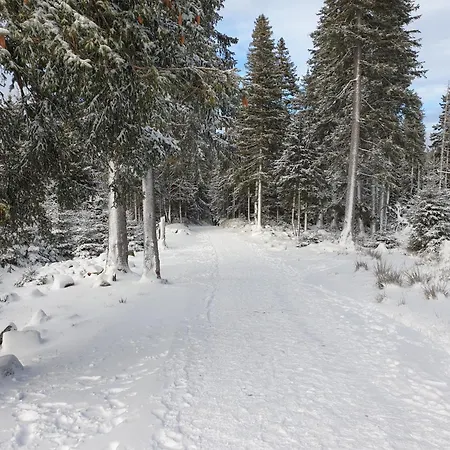 Apartamento Lawendowy Z Garazem, Tarasem I Widokiem Na Sniezke Triventi Karpacz
