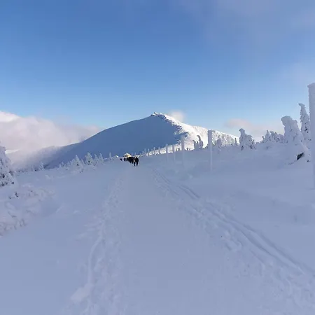 Lawendowy Z Garazem, Tarasem I Widokiem Na Sniezke Triventi