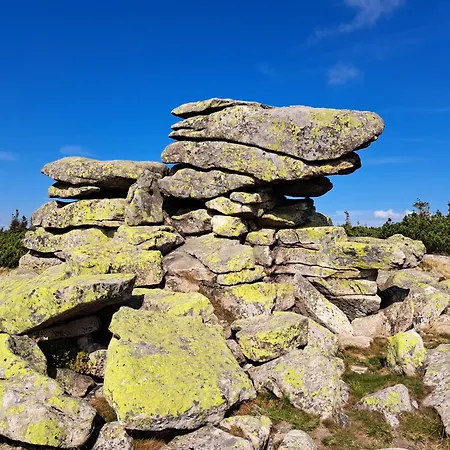 Daire Lawendowy Z Garazem, Tarasem I Widokiem Na Sniezke Triventi