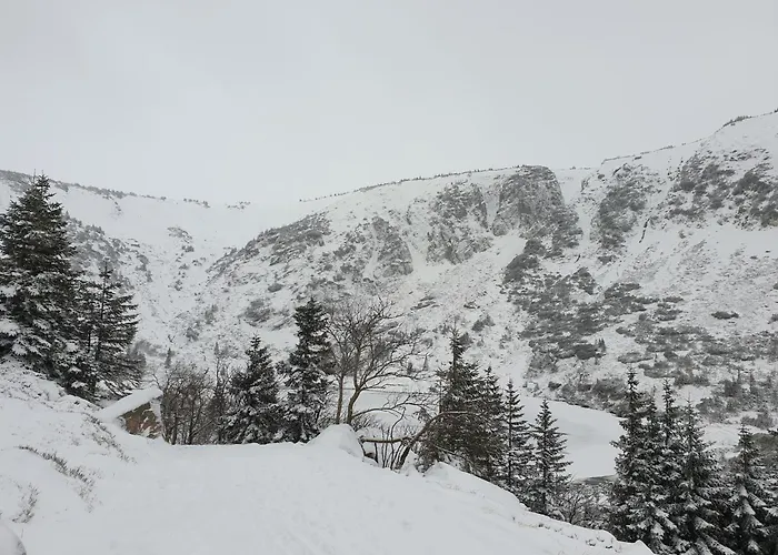 Lawendowy Z Garazem, Tarasem I Widokiem Na Sniezke Triventi Daire Karpacz