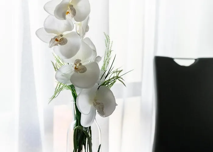 דירה Lawendowy Z Garazem, Tarasem I Widokiem Na Sniezke Triventi *