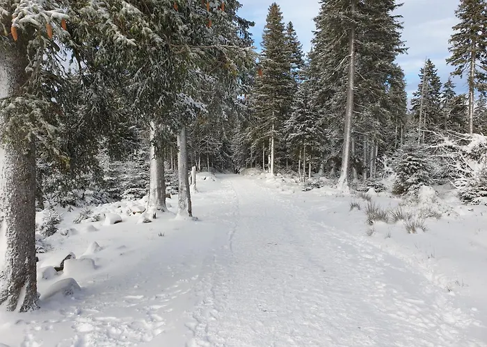 Daire Lawendowy Z Garazem, Tarasem I Widokiem Na Sniezke Triventi Karpacz