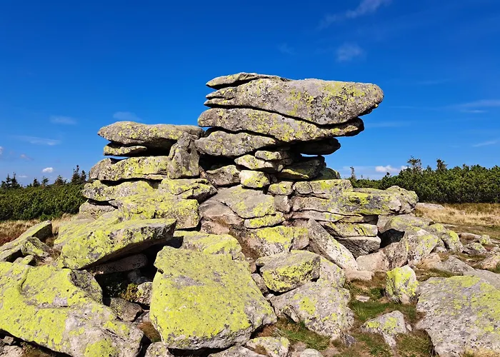 Daire Lawendowy Z Garazem, Tarasem I Widokiem Na Sniezke Triventi